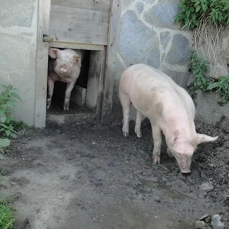 布兰德本哥特农家乐 巴特霍夫加施泰因