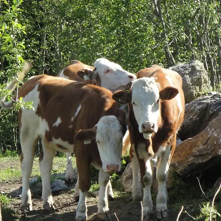 布兰德本哥特农家乐 巴特霍夫加施泰因