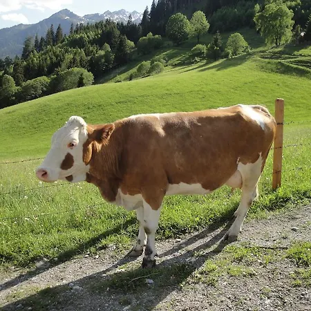 Brandebengut Bad Hofgastein